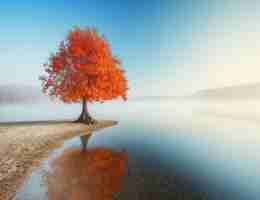 语‌音​识​别﻿视‌频‌教‌程‍